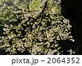 2064352