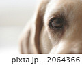 2064366