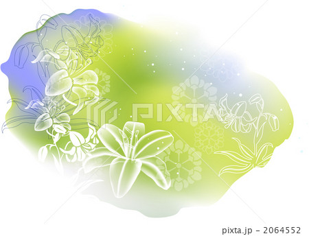花/自然/動植物_k_456456 花/自然/動植物_k_456456 2064552