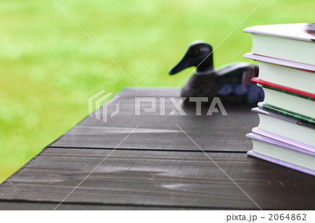 デコイと積まれた本 デコイと積まれた本 2064862