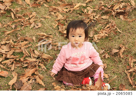 落ち葉の絨毯　２ 2065085