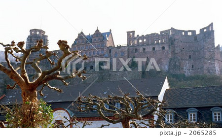 ハイデルベルグ城 ハイデルベルグ城 2065285