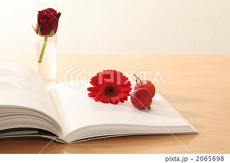 リビンクの本 リビンクの本 2065698