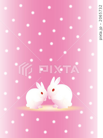 雪うさぎ 雪うさぎ 2065732