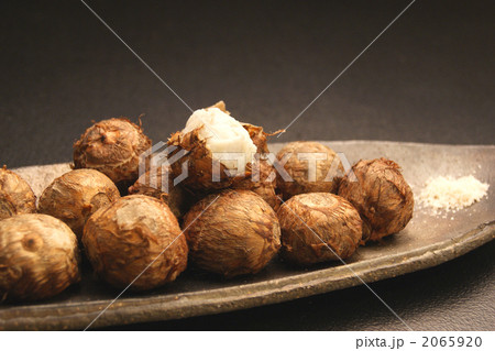 石川小芋 2065920