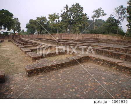 インド:祇園精舎 無量樹 インド:祇園精舎 無量樹 2065936