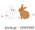 うさぎと梅の花 2065996