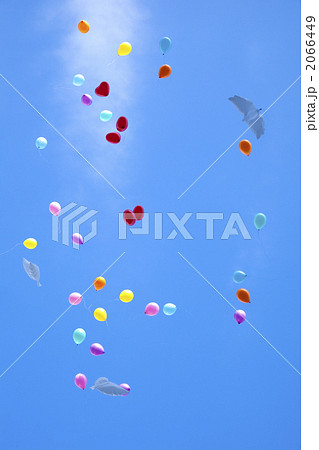 青空に舞う風船 2066449