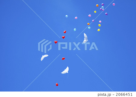 青空に舞う風船 青空に舞う風船 2066451