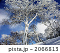 オロフレ峠の樹氷 2066813