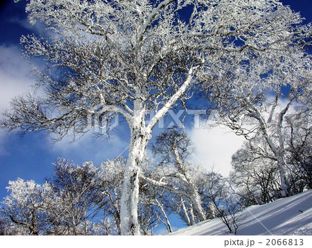 オロフレ峠の樹氷 2066813