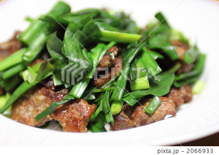 レバニラ炒め 2066933