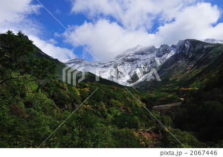 冠雪 冠雪 2067446