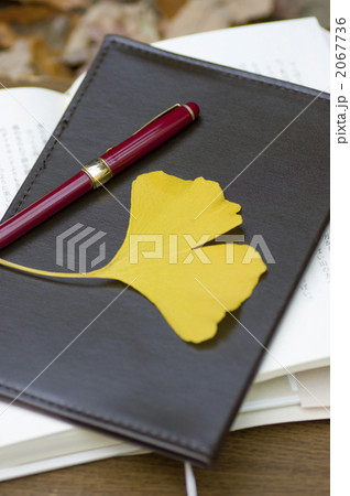 秋の一時 2067736