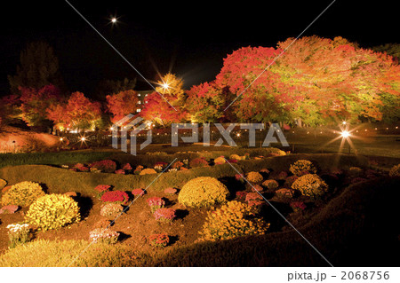 紅葉回廊　夜の庭と紅葉 2068756
