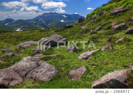 ポン化雲岳から見るトムラウシ山 2068972