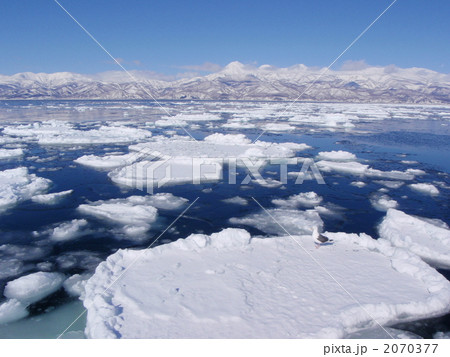 流氷と知床 2070377