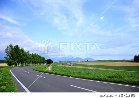 美瑛の丘陵 2071299