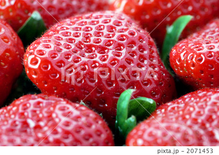 いちご　あまおう 2071453