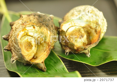 さざえの壺焼き 2071737