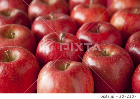 フジりんご フジりんご 2072307