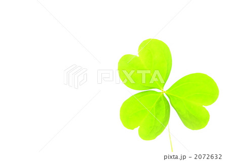 エコイメージ エコイメージ 2072632