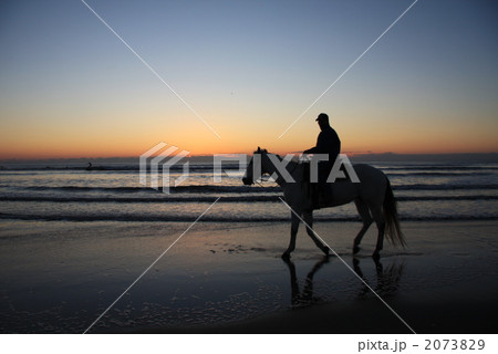 元旦の九十九里浜 2073829