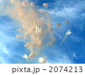 2074213