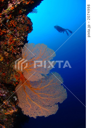 ドロップオフ ドロップオフ 2074998