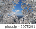 高見山　霧氷 2075291