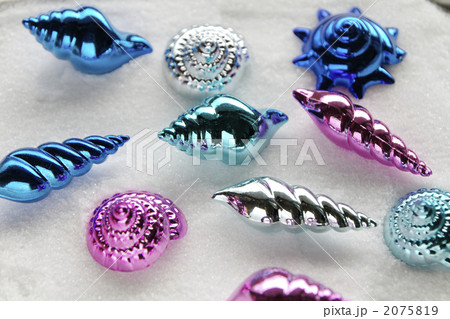 きらきら貝殻オブジェ 2075819