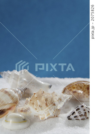 白砂に貝殻 2075826