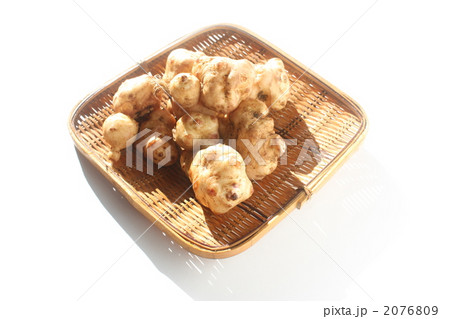 キクイモ キクイモ 2076809