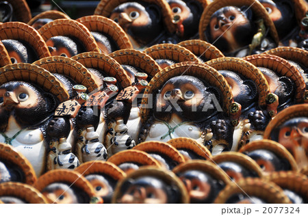 たぬきがいっぱい 2077324