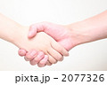 握手 2077326