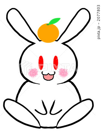 おみかんうさぎ おみかんうさぎ 2077803