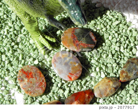 恐竜の糞の化石（コプロライト）ビーズ 2077917