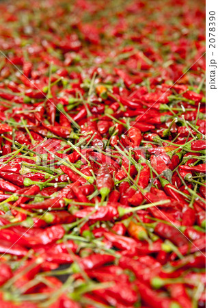 とうがらし とうがらし 2078390