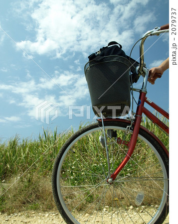 自転車 青空 散歩 健康 自転車 青空 散歩 健康 2079737