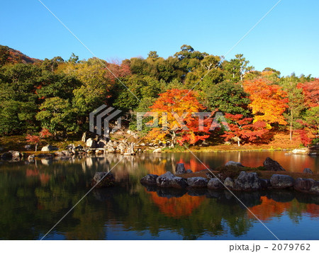 天龍寺の庭2 2079762