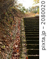 もみじ谷　落葉　階段 2080020