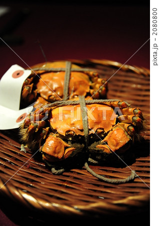 上海ガニ 2080800