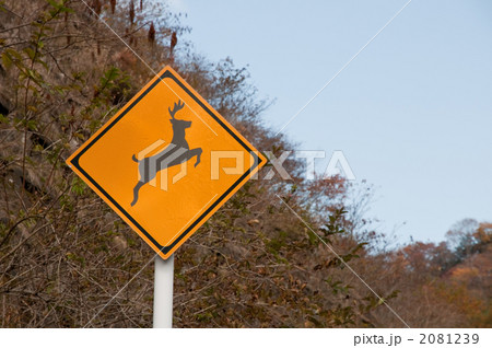 道路標識 2081239