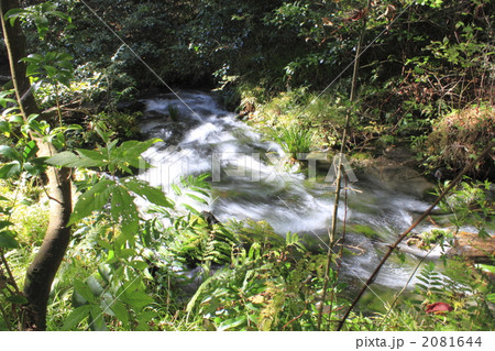 山吹水源 山吹水源 2081644
