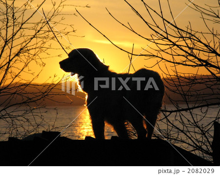 猪苗代の夕暮れ 2082029