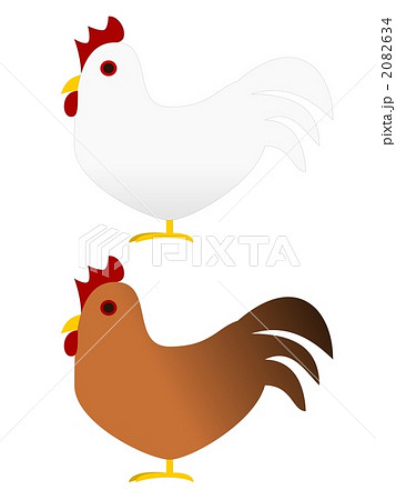 鶏 鶏 2082634