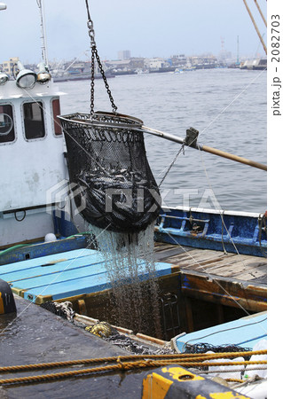 魚の水揚げ 2082703