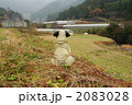 農道の中のパグ 2083028
