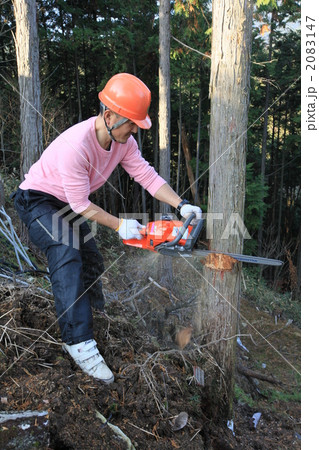 木こり 2083147
