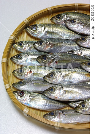 小あじ 小あじ 2083619